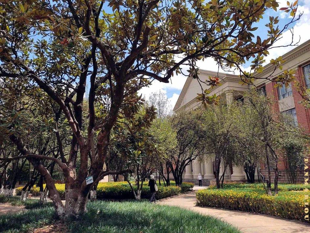Kunming - Universite du Yunnan (50).jpg